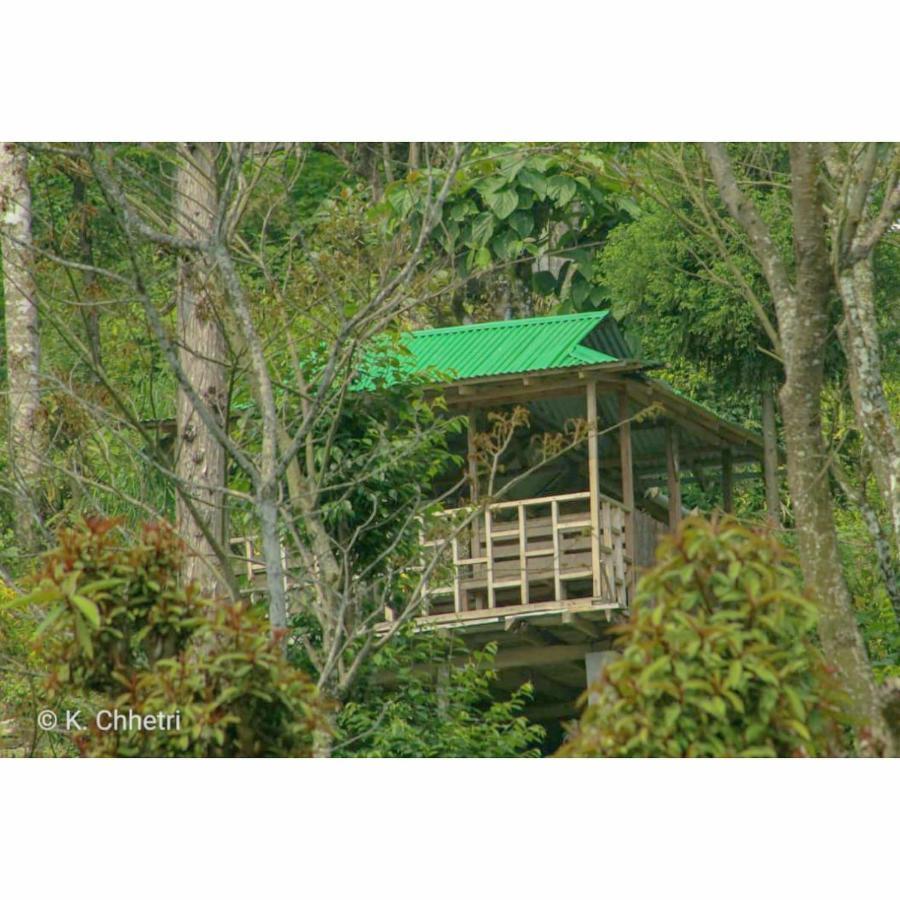Suma Aavaas Farmstay Darjeeling  Extérieur photo