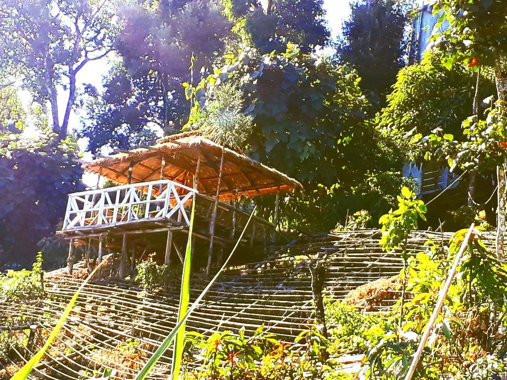 Suma Aavaas Farmstay Darjeeling  Extérieur photo